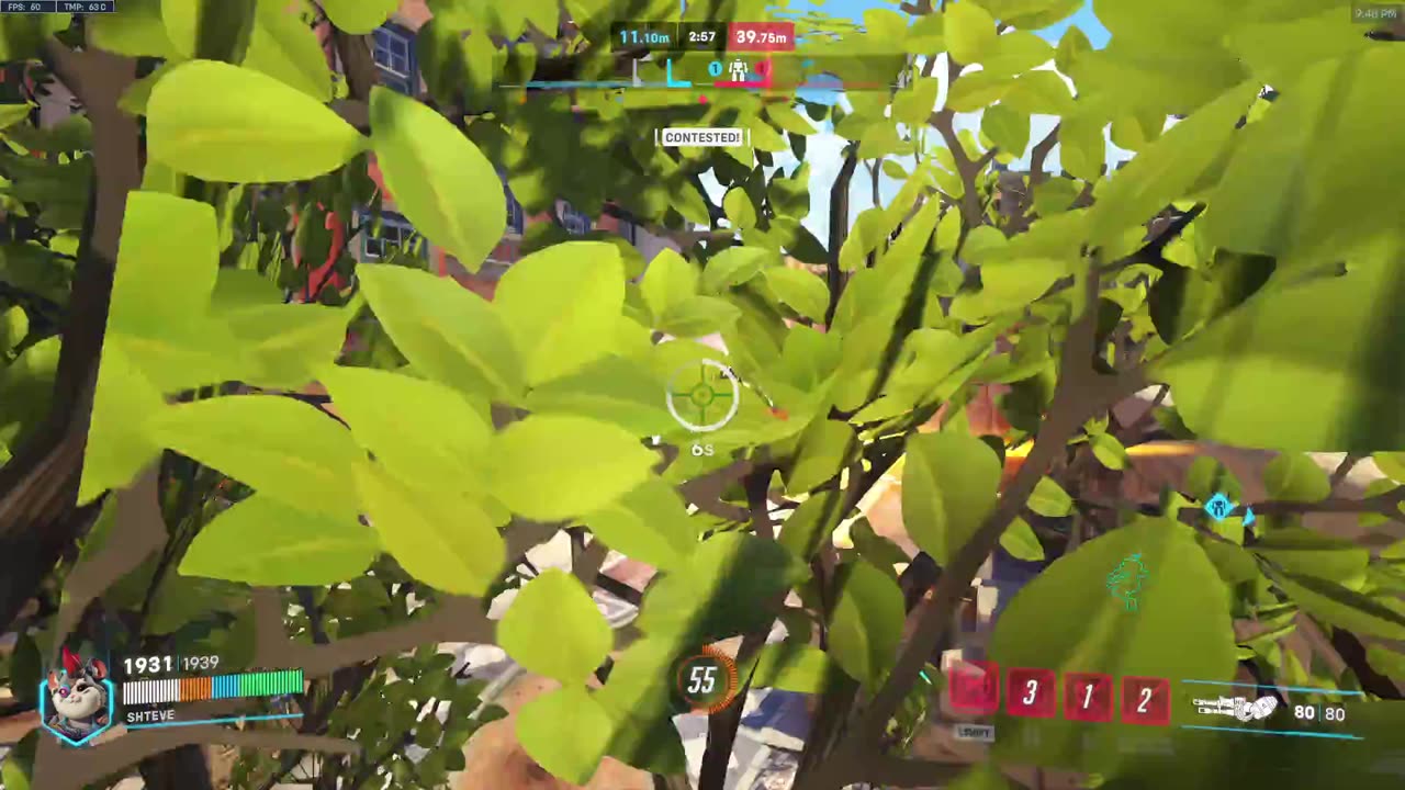 Total Mayhem!