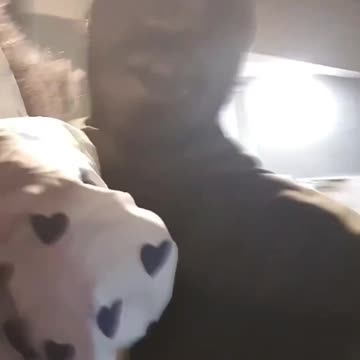 "Thanks to €3000 per month allowance from CAF I no longer need to work and I