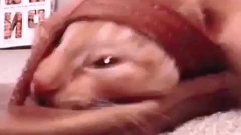 Something to watch while tired or stressed