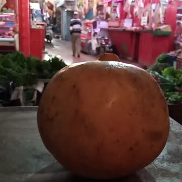 Ait Ourir Marrakech Maroc 4