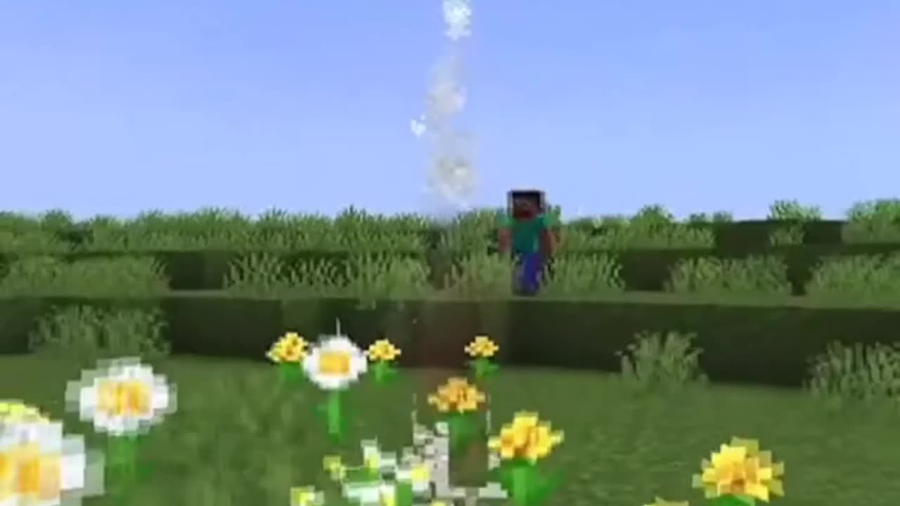 the best minecraft game video