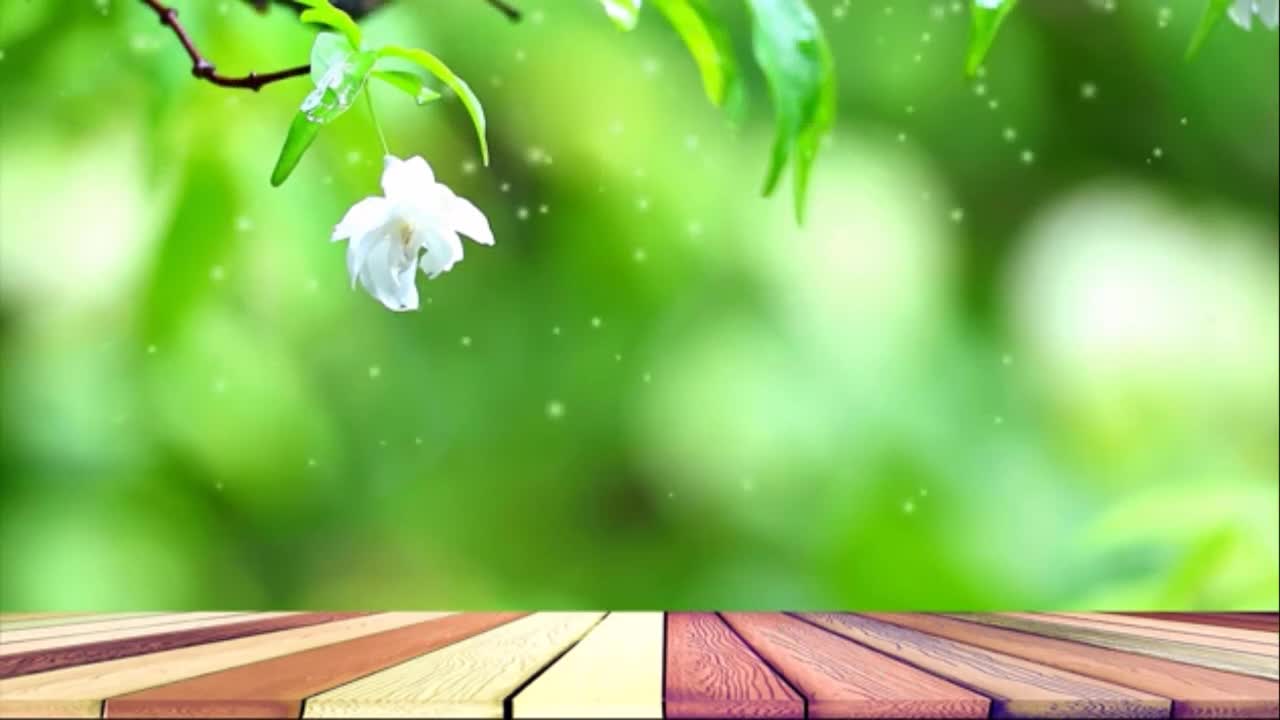 Relaxing Music | Sleeping, Meditation, Stress Relief | [1372] ⭐️
