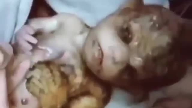 DUMBS - CLONING IS REAL - HUMAN MIX TIGER -