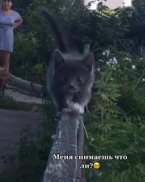 Good morning everyone)