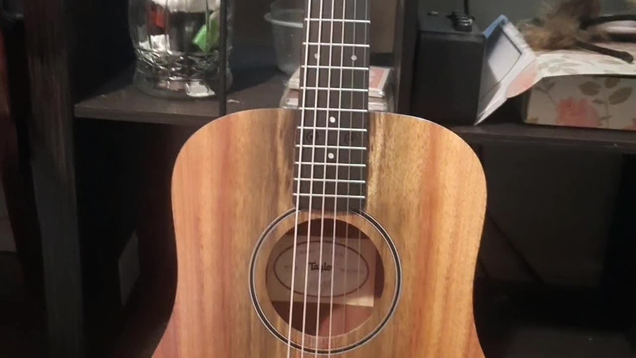 BABY Taylor Guitar