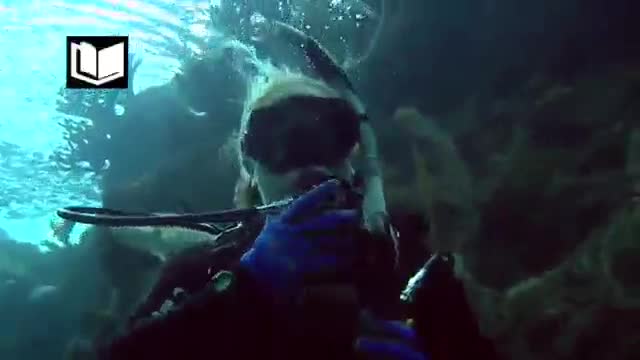 NAUI Open Water Scuba Diver, part 2 of 7