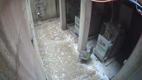 3258LHOBBAB250CGeneratorRoom_2021-01-05_16h00min02s117ms.mp4