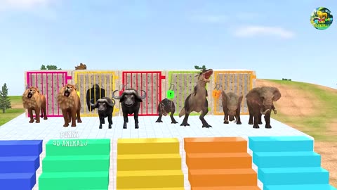 paint Animal Gorilla Cow Tiger Lion Elephent Fountain Crossing Animal Game