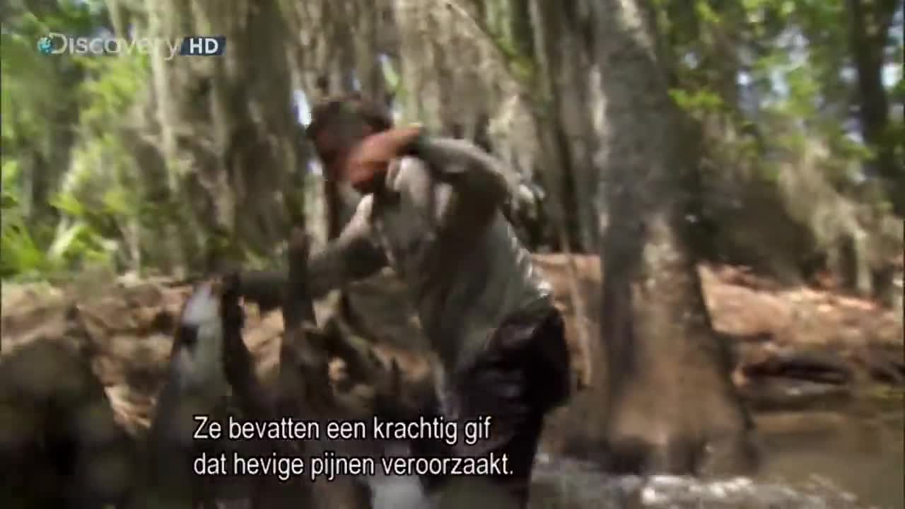 Bear Grylls fishing a Catfish