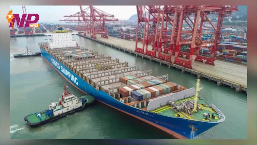 SAC forms committee to establish NSWS as per WTO agreement
