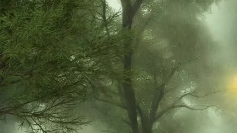 Beautiful nature