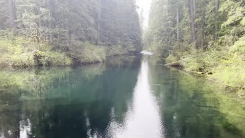 Admiring Clear Lake & The Start of McKenzie River in the Rain