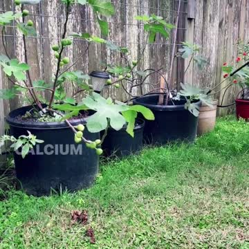 What you can do with your expired milk?