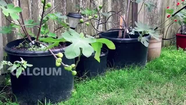 What you can do with your expired milk?