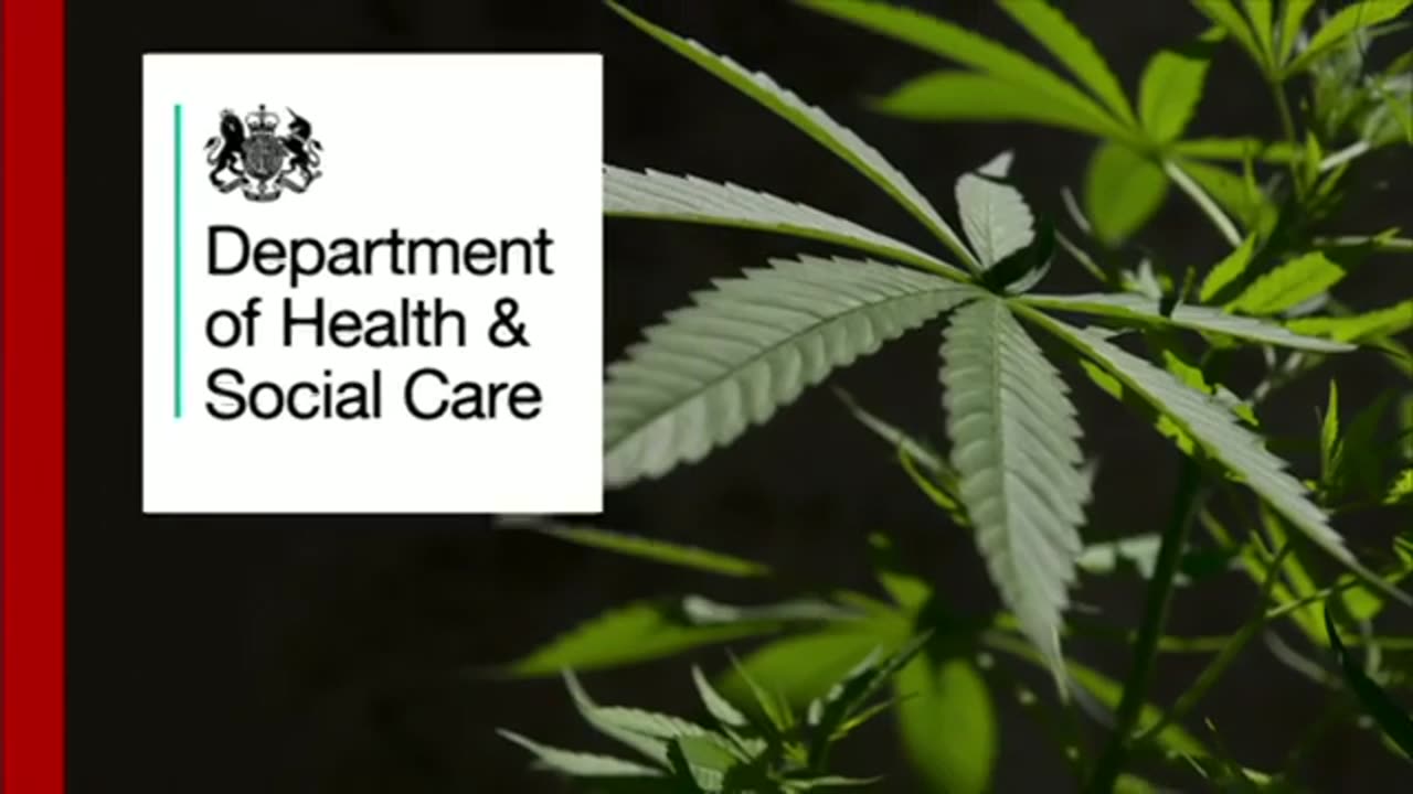 Why is it so difficult to get medicinal cannabis in the UK - BBC Ne