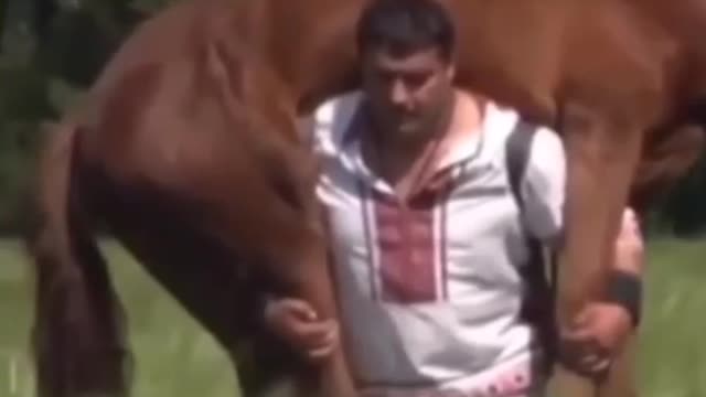 Just a light horse