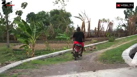 Balap gp