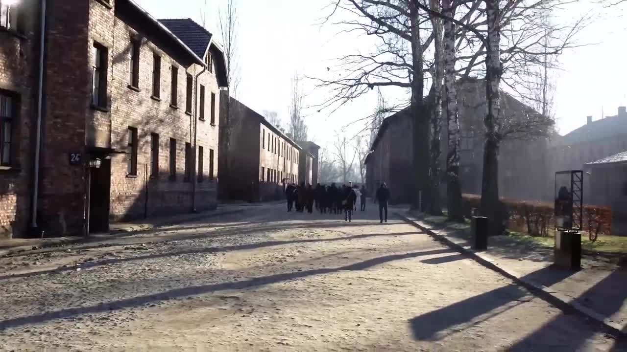 AUSCHWITZ: The Complete DISTURBING Tour | WARNING: Actual footage