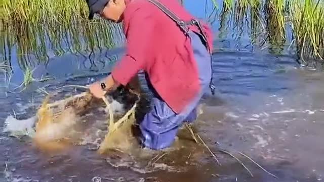 It is more and more difficult to catch fresh fishes in the dirty ocean.