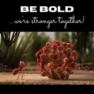 THE MORE THAT STEP UP AND REFUSE AND SAY NO...THE BETTER CHANCE WE HAVE.