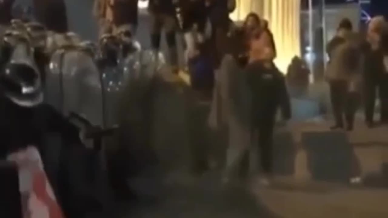 A protester in Georgia threw the flag of the country at the feet