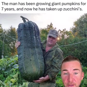 50kg Zucchinis in Russia? Seems the gigantic pumpkins can be turned into anything.