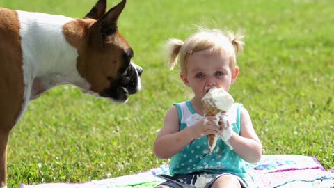 funny animal videos | Funny dog&cat videos |Cute animal videos