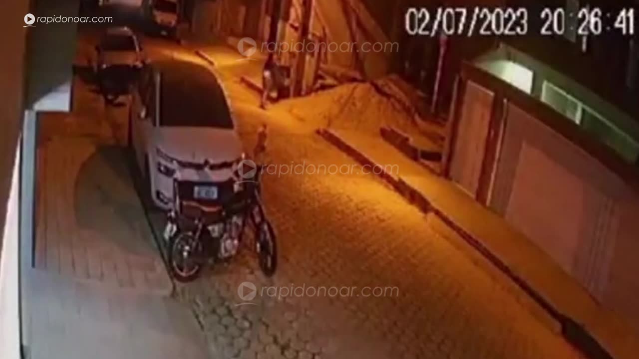 Mulher morre ao tentar proteger cachorro e é atropelada em MG