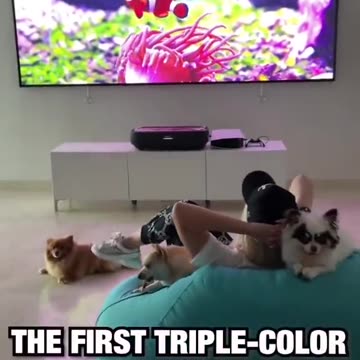 Hisense 120L5FTUK - A12 (120 inch) Laser-Projector, 4K Laser TV