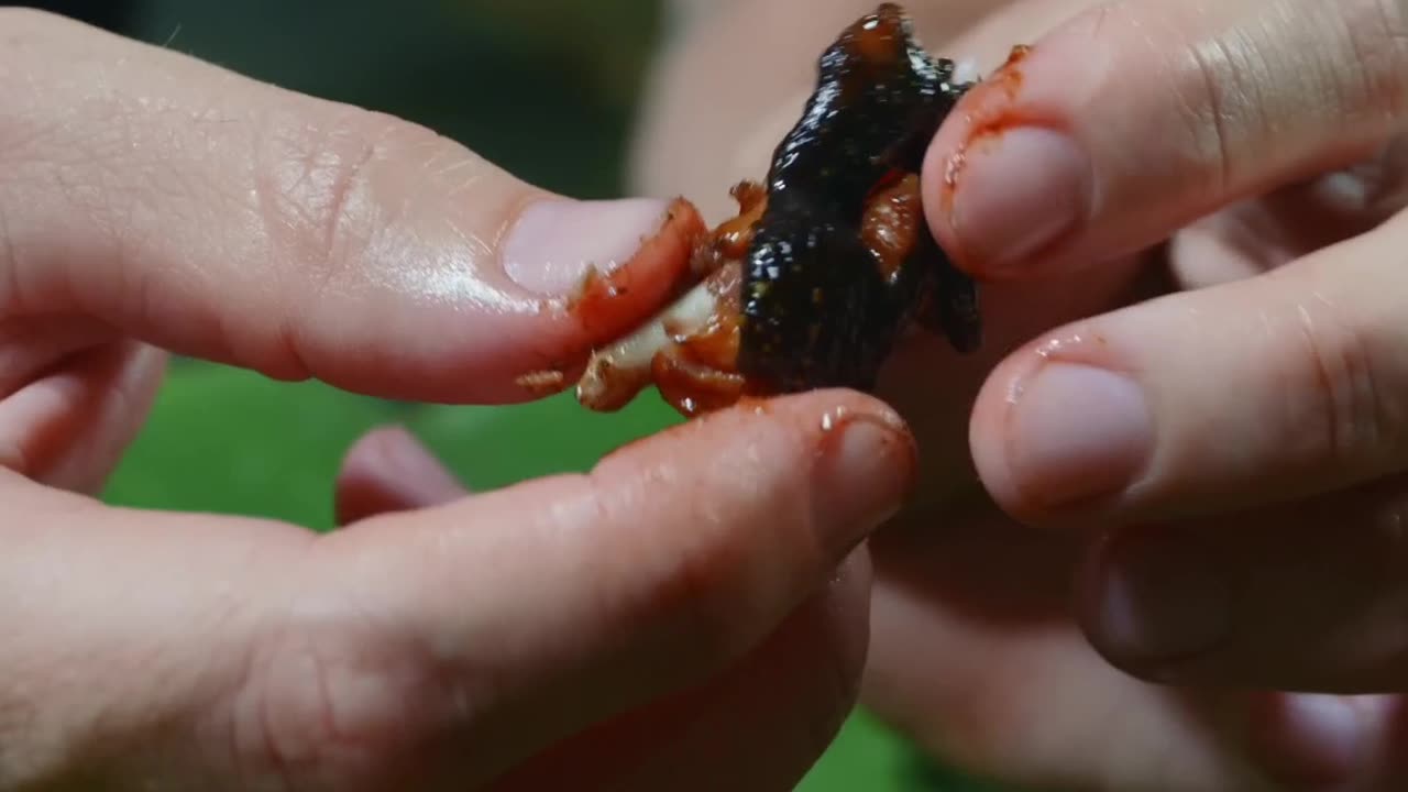 Deliciously Tender Lizard in Soy Sauce Glaze | Unique Asian Culinary Experience