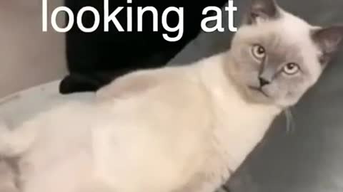 We’ve all been there Cat