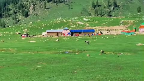 Kumrat Valley's beautiful view erling morning and sun shine little