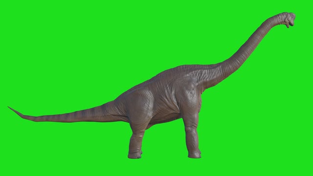 Dinosaur
