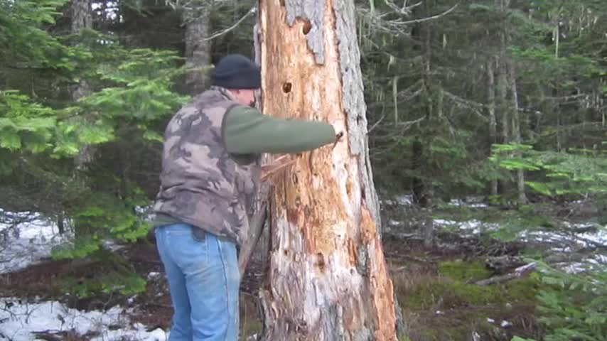 HOW TO MAKE A FIRE IN THE WOODS