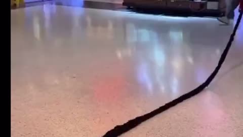 Her hair on the floor?