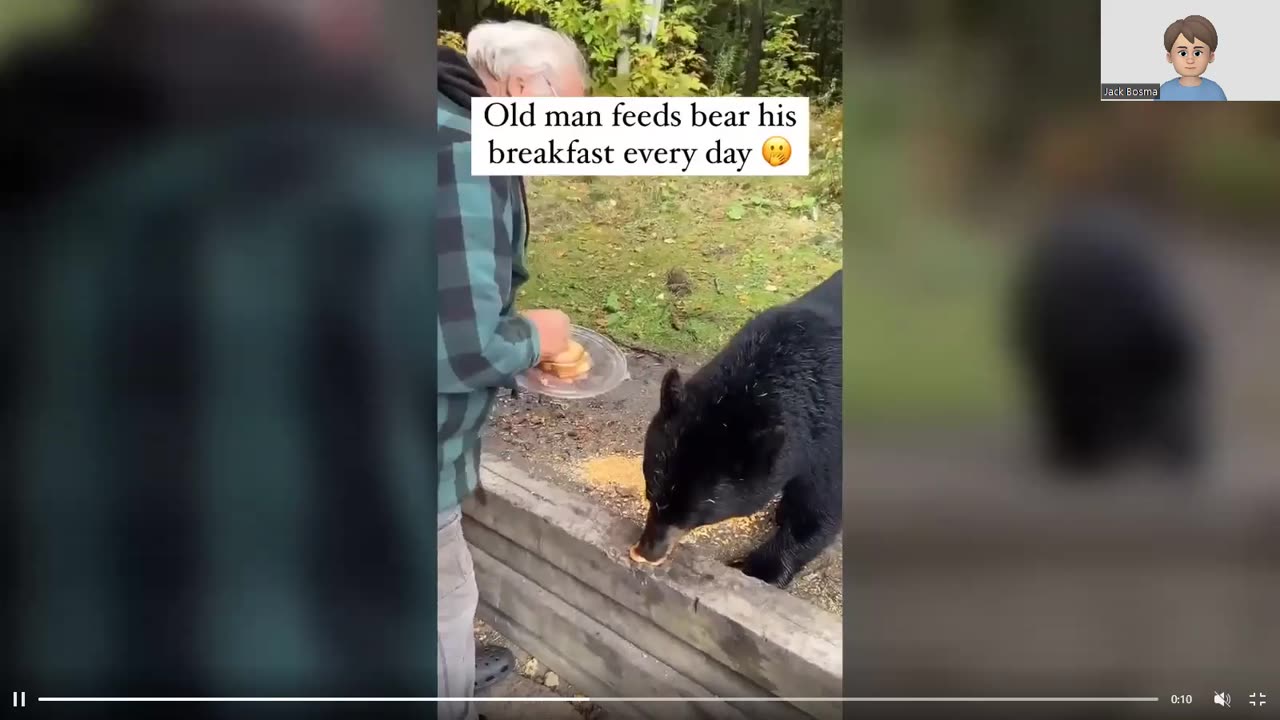 Bear Food