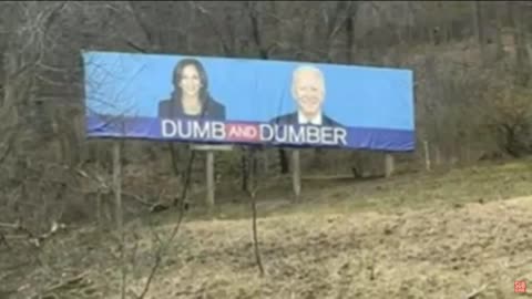 Biden and Kamala is Dumb & Dumber