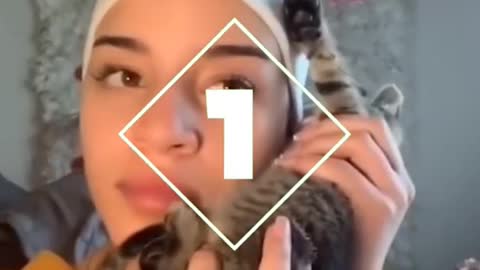 TOP 5 Funniest CAT Videos in 1 MINUTE