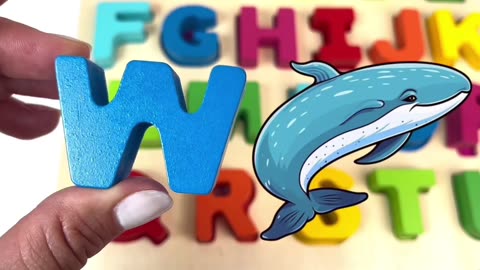 Learn the Letters of the Alphabet .mp4