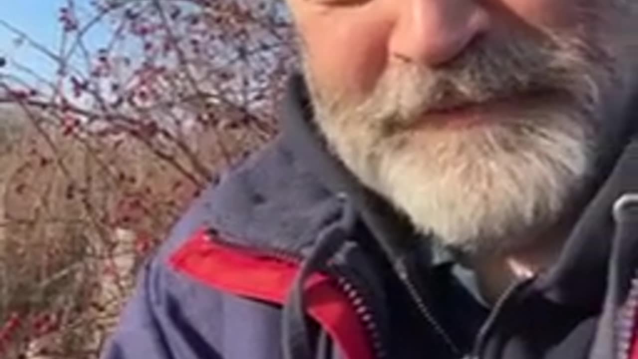 Maciesul, cel mai bun leac natural