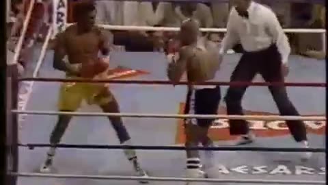 Warrior of Boxing