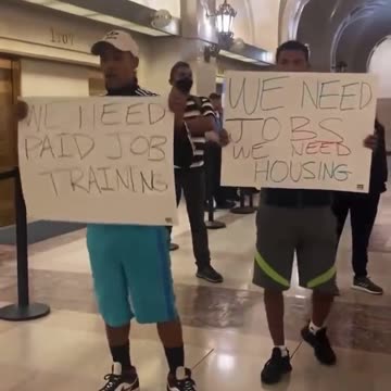 Meanwhile, in Chicago, Il- Illegal immigrants are now demanding paid training and free housing