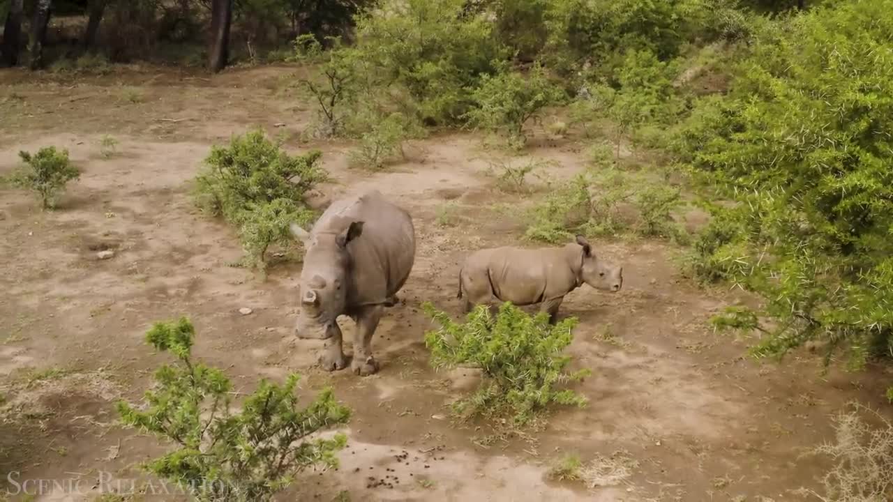 BOTSWANA