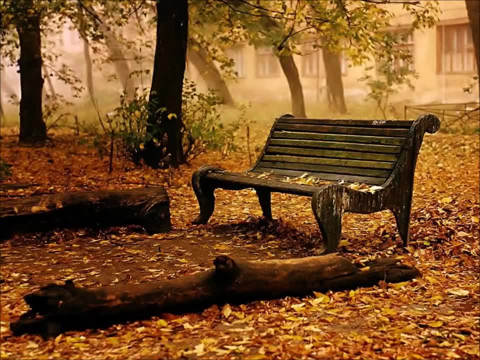 Mr. Paul Harvey Letter from God