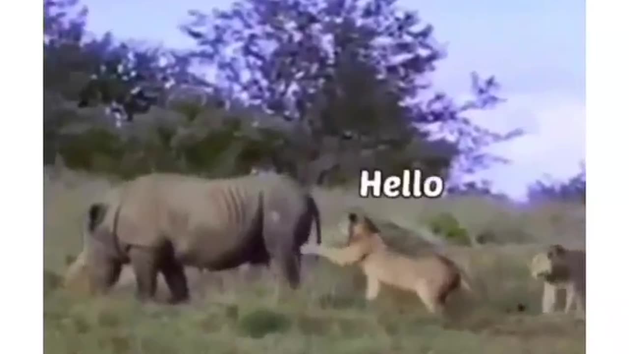 The gentle guy