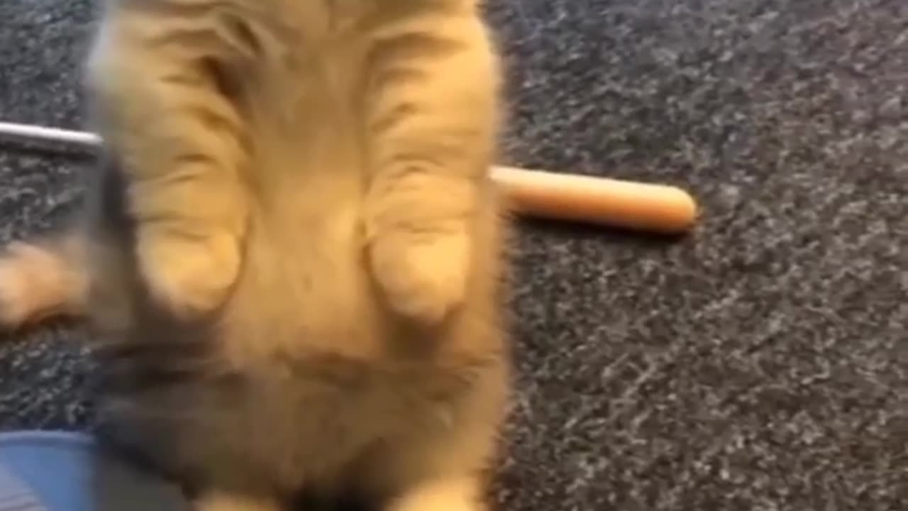 😍😍😍😍😍😍😍😍😍