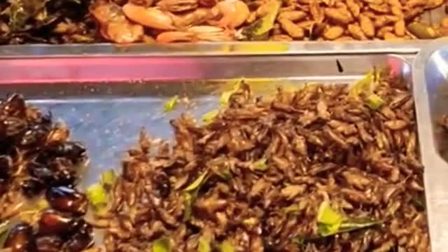 Crispy Thai Street Food Insects in Bangkok