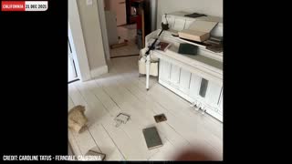 Magnitude Earthquake rattles Northern California,