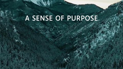 Navigating Life's Meaning #VerseVibes #rumble #rumble videos