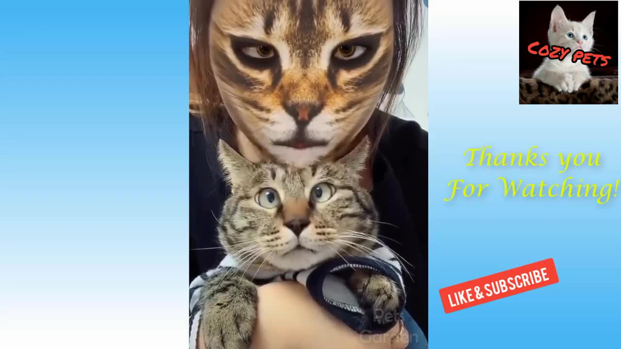 FUNNY ANIMAL PET VIDEO - Funny cats clips😂- - Cats react to their owners cat mask